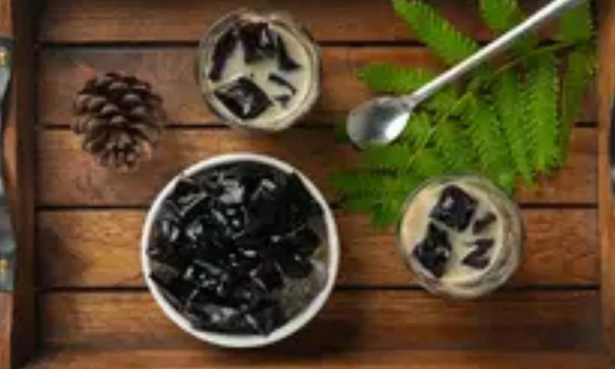 Cara Menyimpan Cincau Tetap Segar dan Tahan Lama, Simak Tips Jitu Ini