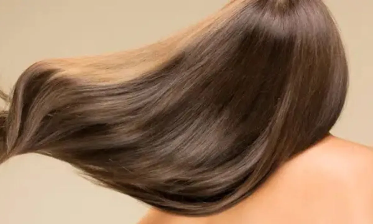 Cara Alami Menyuburkan Rambut Rontok dengan Daun Kari dan Biji Fenugreek