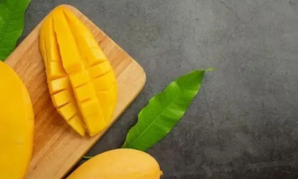Cara Mematangkan Buah Mangga Secara Alami dan Cepat Tanpa Bahan Kimia