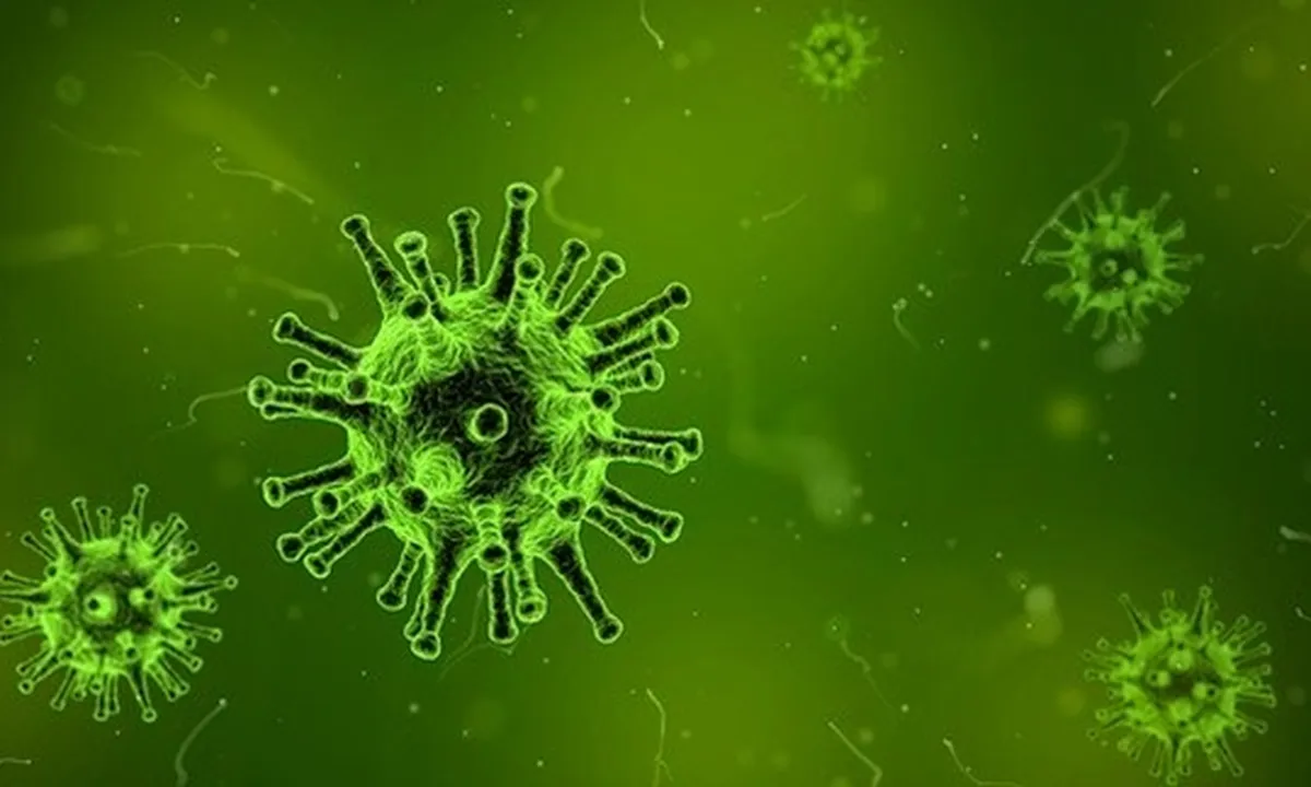 Cara Bersihkan Barang dari Virus Corona Covid-19 dari Berbagai Bahan