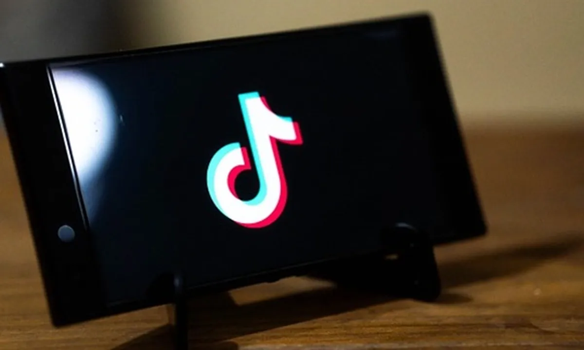 Cara Download Tiktok Tanpa Watermark dengan Mudah, Bisa Dilakukan Langsung Lewat Browser