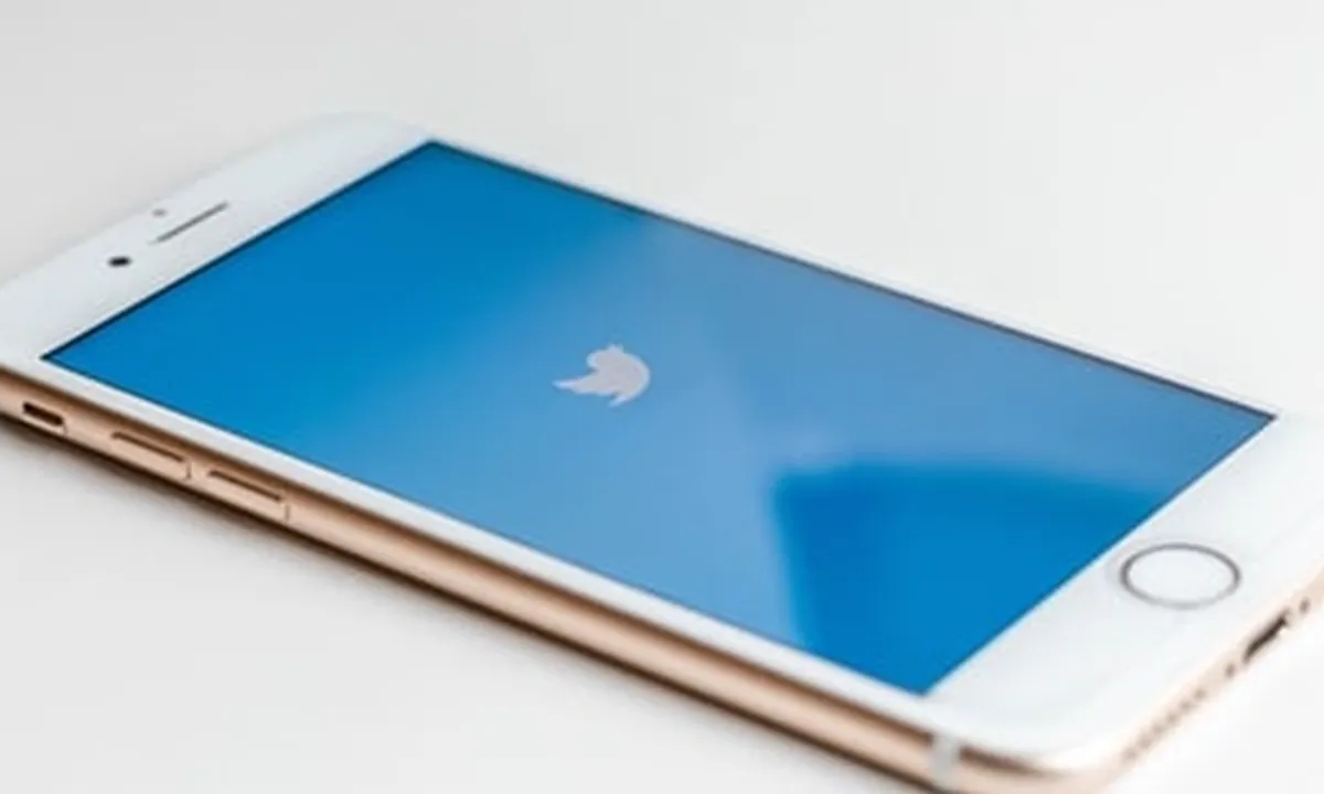 Cara Hapus Akun Twitter Permanen lewat HP dan PC, Bisa Dilakukan Tanpa Harus Login