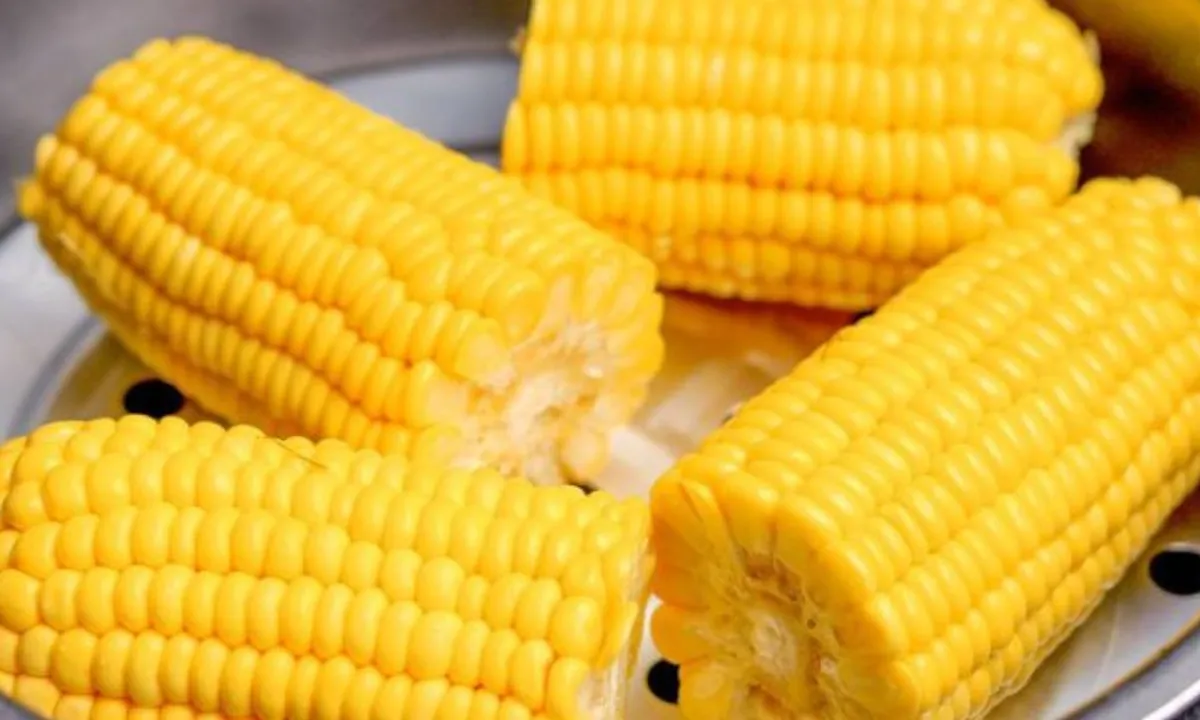 Cara Hemat Gas Merebus Jagung Lembut dalam Waktu Singkat