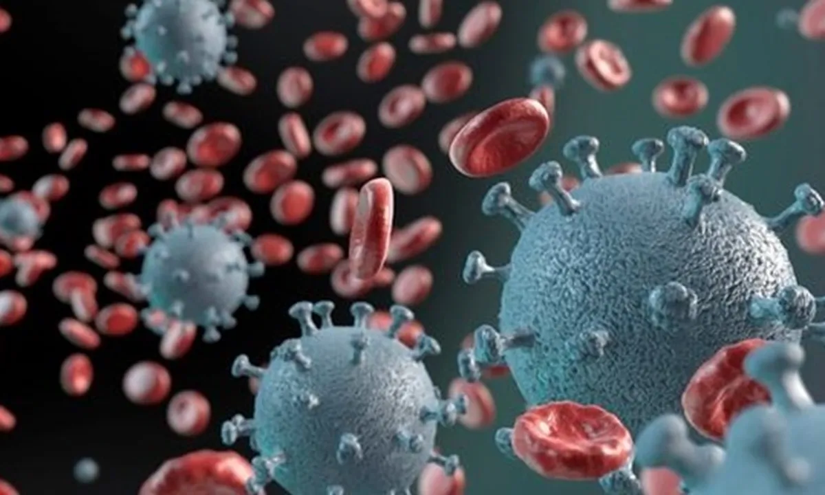 Cara Membantu Seseorang yang Positif Virus Corona Covid-19, Begini Langkah Tepatnya