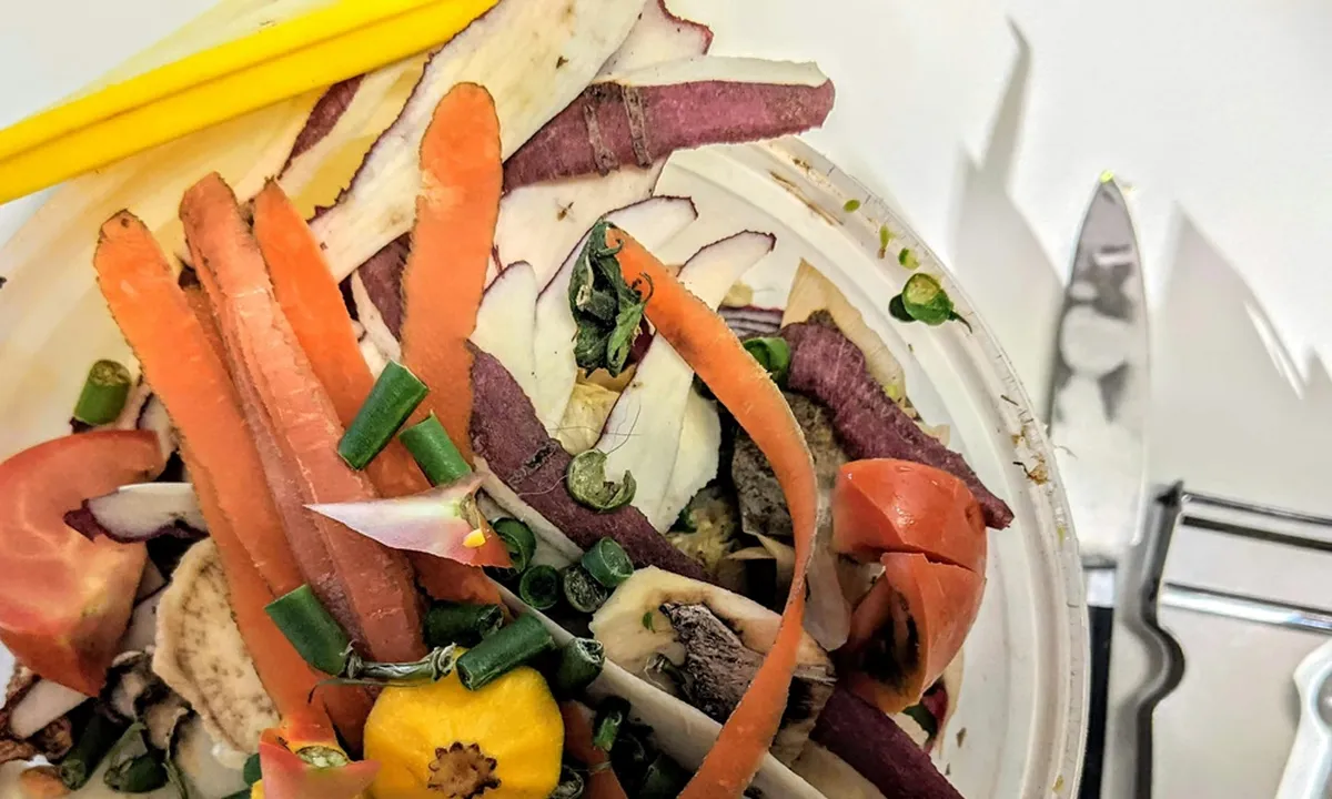 Cara Membuat Eco Enzyme dari Sisa Buah dan Sayur, Punya Banyak Manfaat