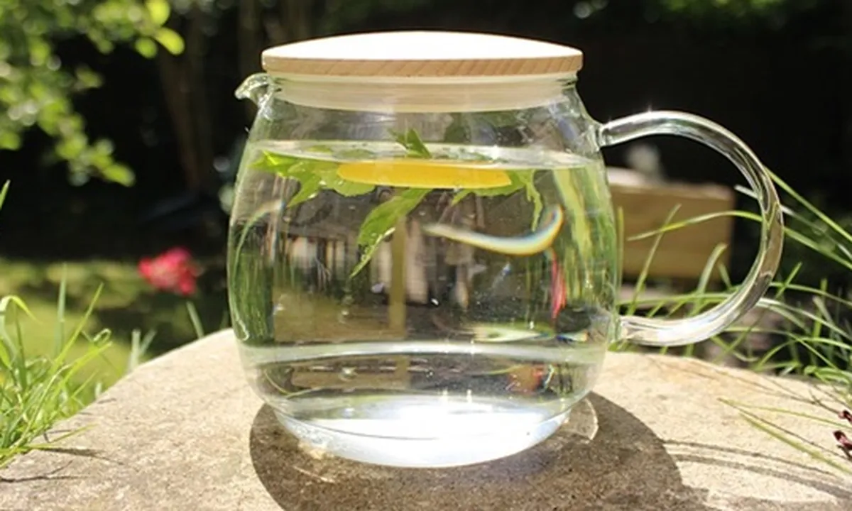 Cara Membuat Infused Water yang Mudah, Berkhasiat untuk Kesehatan dan Kecantikan