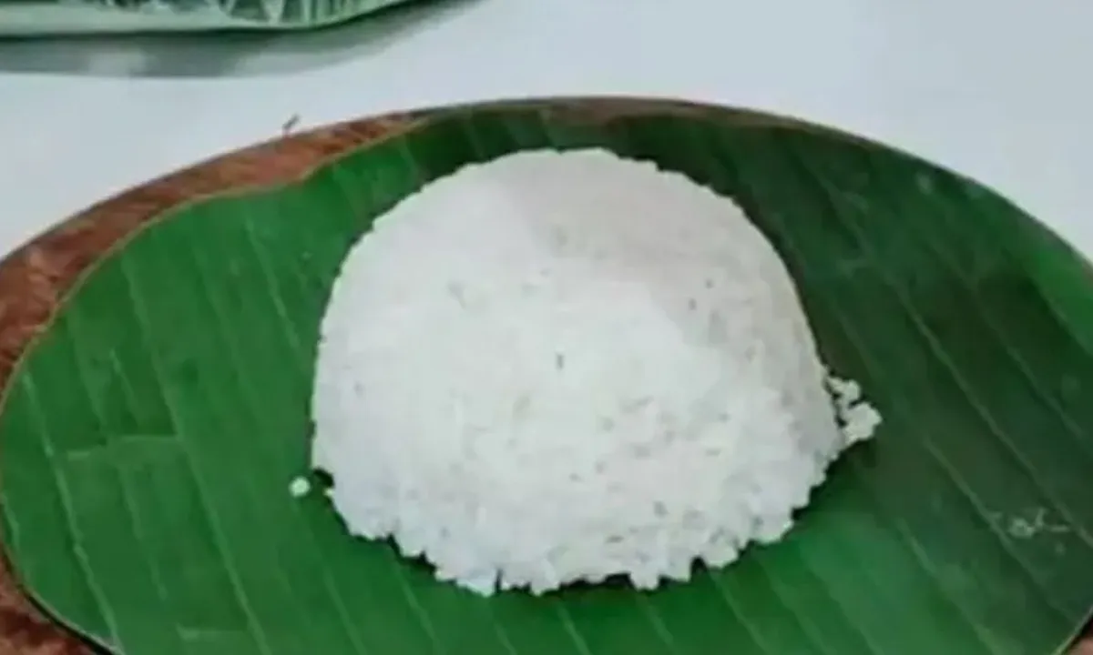 Cara Menanak Nasi Putih yang Lebih Sehat, Rendah Gula Tanpa Minyak Kelapa