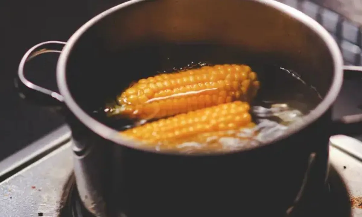 Cara Merebus Jagung dengan Waktu Sempurna untuk Nutrisi Maksimal