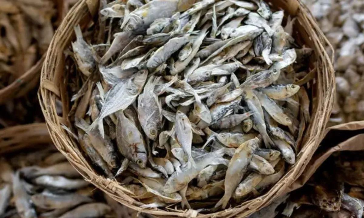 Cara Mudah Kurangi Asin pada Ikan Asin, Dijamin Praktis dan Ampuh