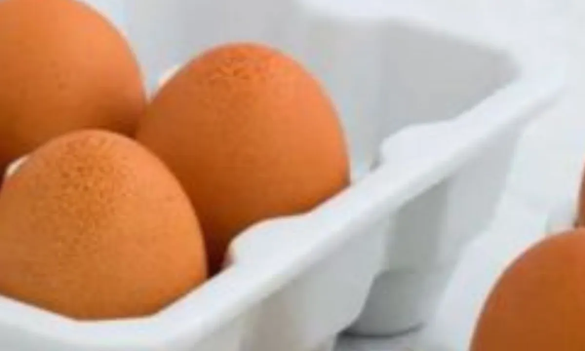 Cara Mudah Menghangatkan Telur dari Kulkas ke Suhu Ruang Hanya dalam 2 Menit