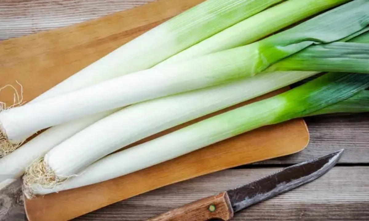 Cara Praktis Menyimpan Daun Bawang dan Seledri dengan Hasil Maksimal