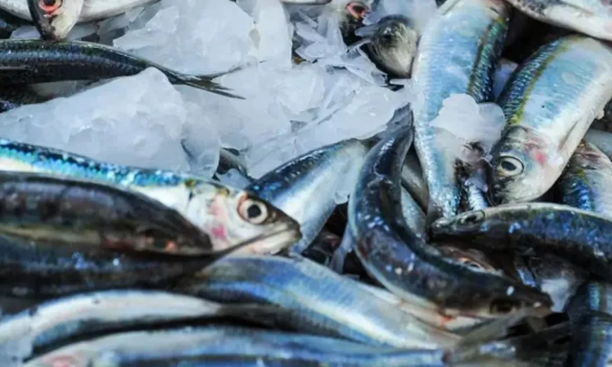 Cara Sederhana Menghapus Formalin dari Ikan Segar, Cukup Pakai 1 Bahan Dapur Ini