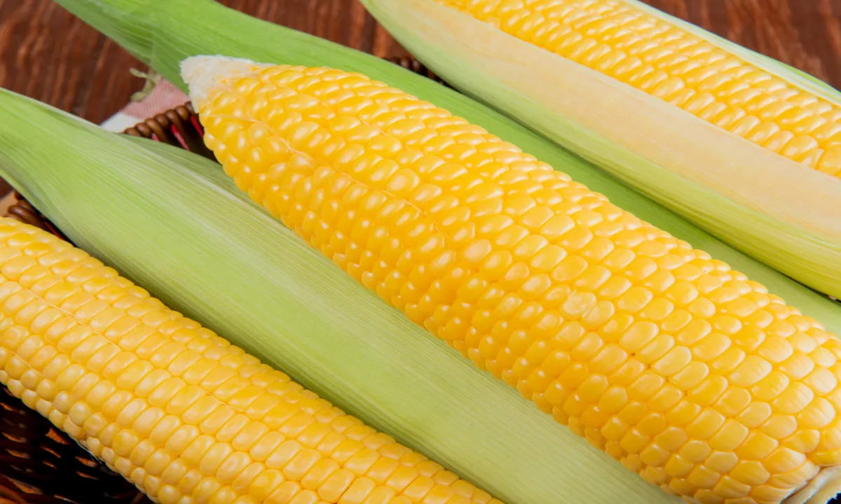 Cara Sederhana Mengolah Jagung Rebus yang Manis dan Bergizi