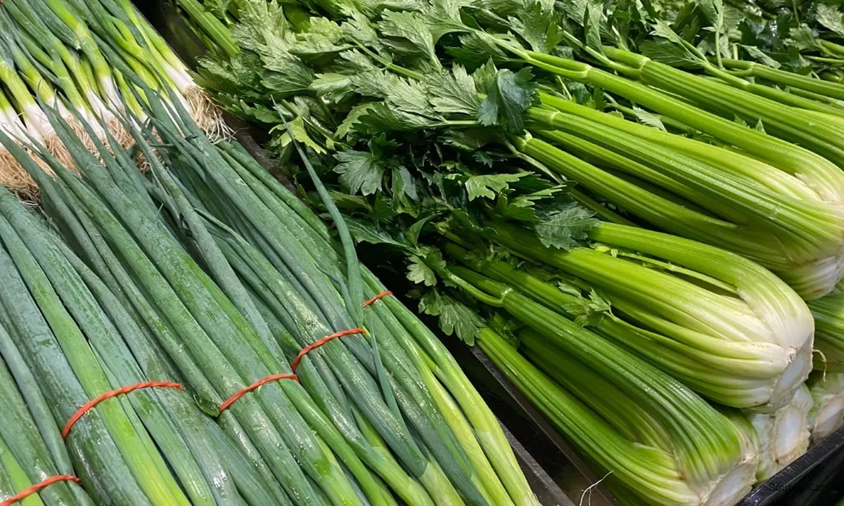 Cara Simpan Daun Bawang dan Seledri Agar Tidak Lembek Meski Disimpan Lama