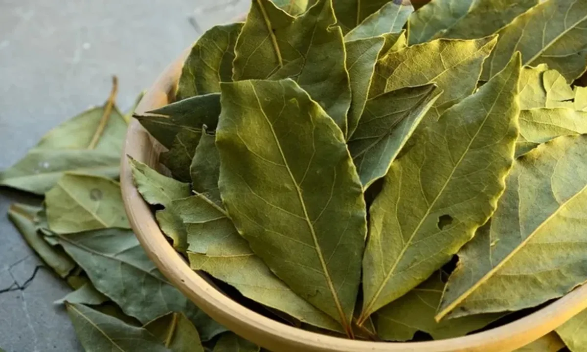 Cara Turunkan Kolesterol dengan Daun Salam, Bahan Sederhana dengan Khasiat Luar Biasa