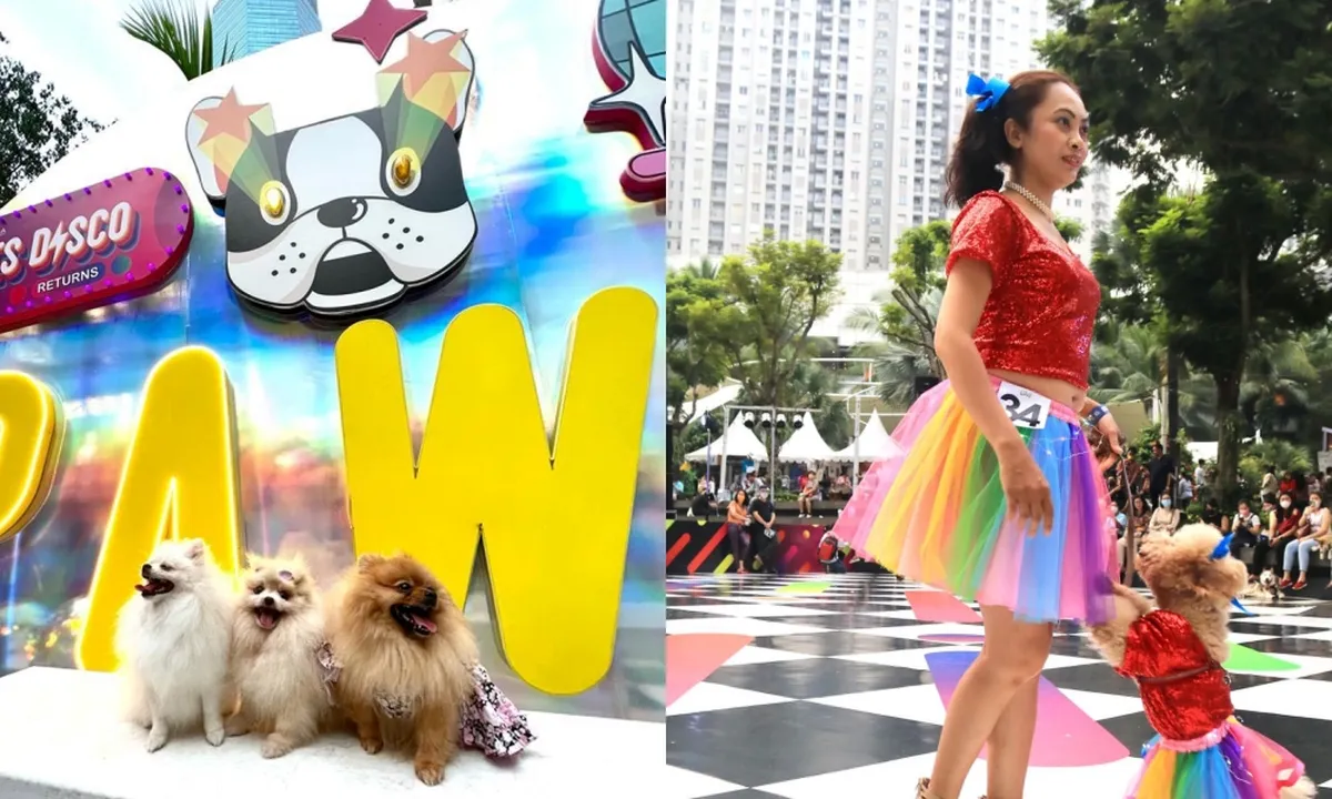 Central Park Mall Hadirkan Dog Does Disco 'Returns', Dihadiri oleh Sederet Selebriti Pecinta Anjing