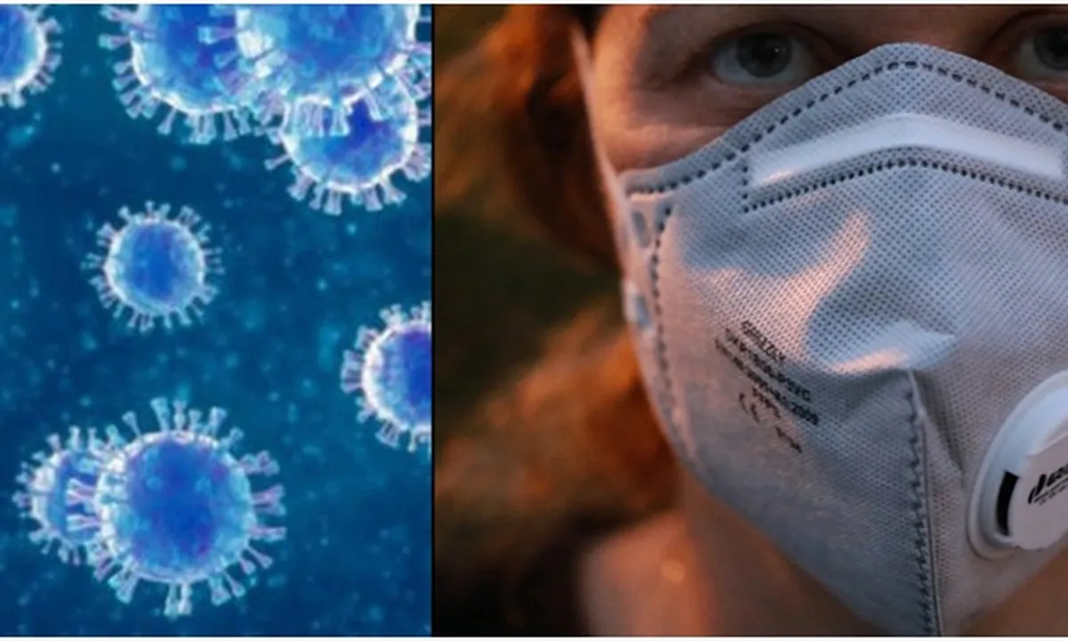 Corona Covid-19 Belum Mereda Muncul Hantavirus dari China, Virus Apa Itu ?