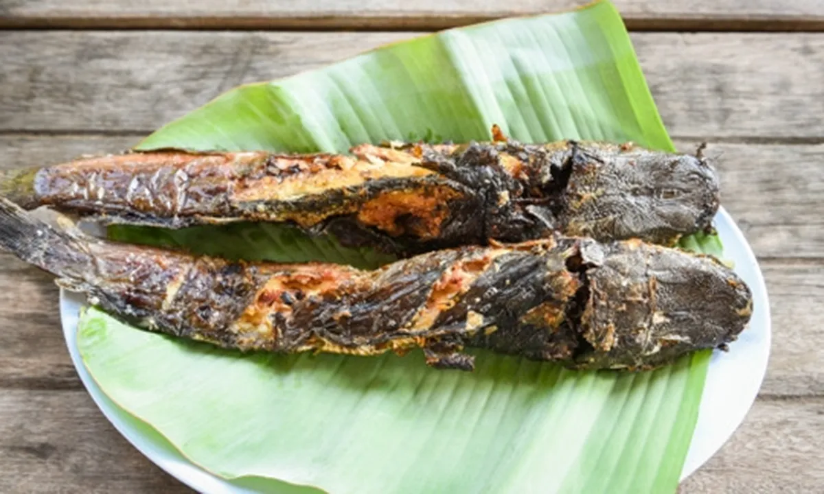 Tak Sekedar Enak, Ini 8 Manfaat Ikan Lele Bagi Kesehatan Tubuh
