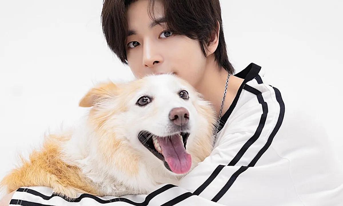 Fakta Menarik Layla, Anjing Cantik Milik Jake ENHYPEN