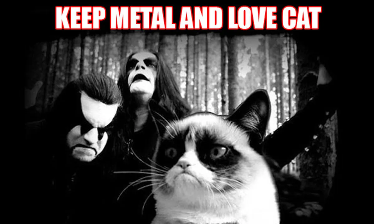 [Foto Failed] Penggemar Metal, Tapi Juga Penyayang Kucing