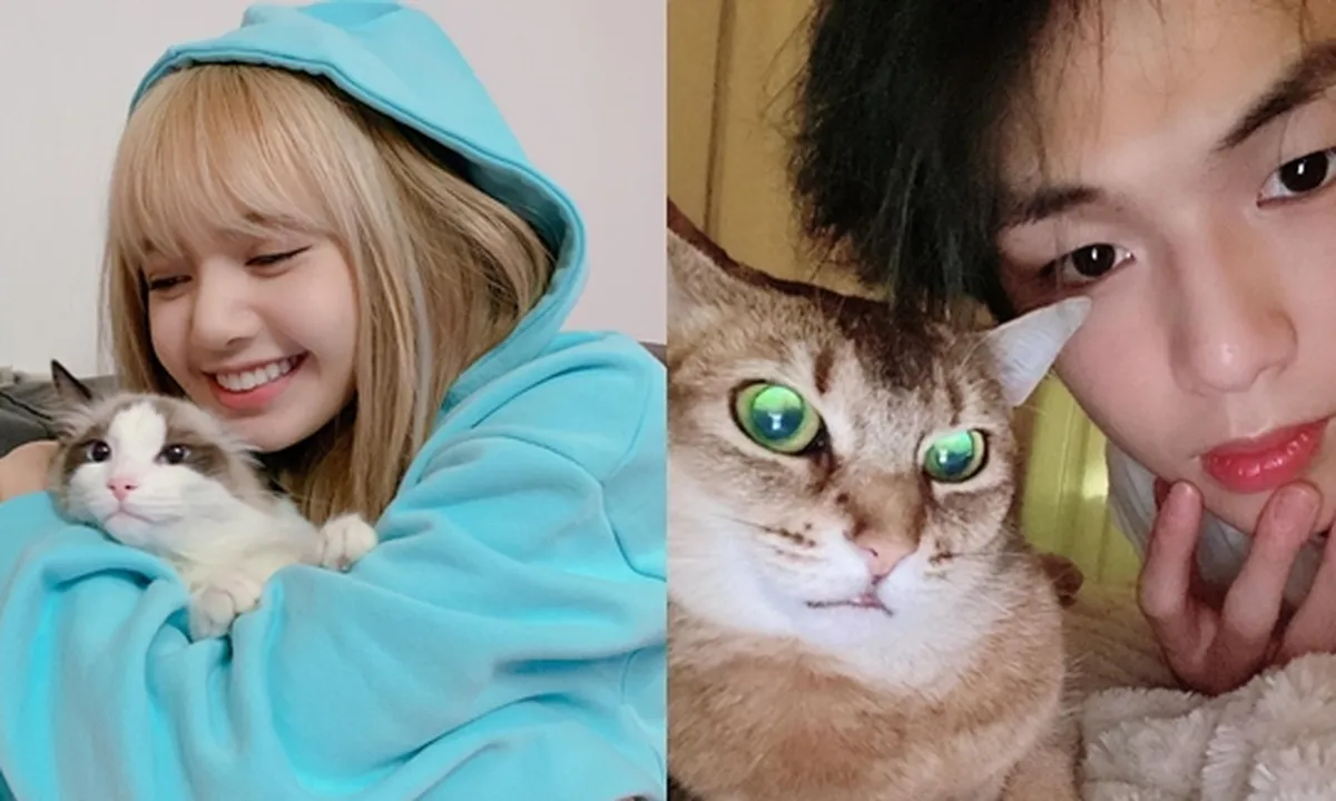 8 Idol K-Pop Pecinta Kucing, Momen Kebersamaan Mereka Bikin Gemas - Jadi Sosok Penyayang