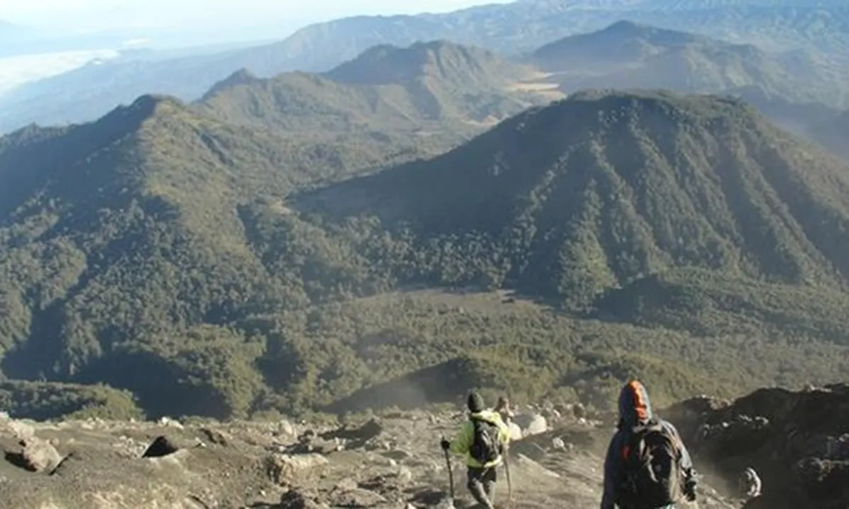 Gunung Semeru Meletus, 550 Warga Ramai-ramai Mengungsi