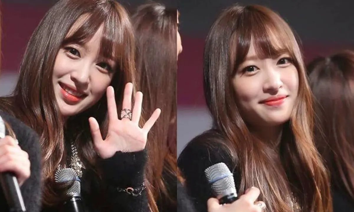 Hani EXID, Idola dan Obsesi Baru Pria Korea