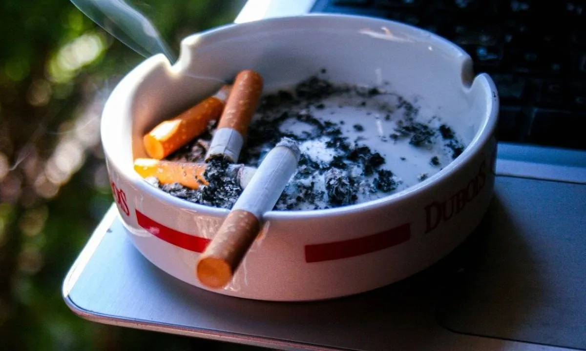 Harga Rokok Naik Mulai 1 Januari 2025, Ini Daftar Harganya
