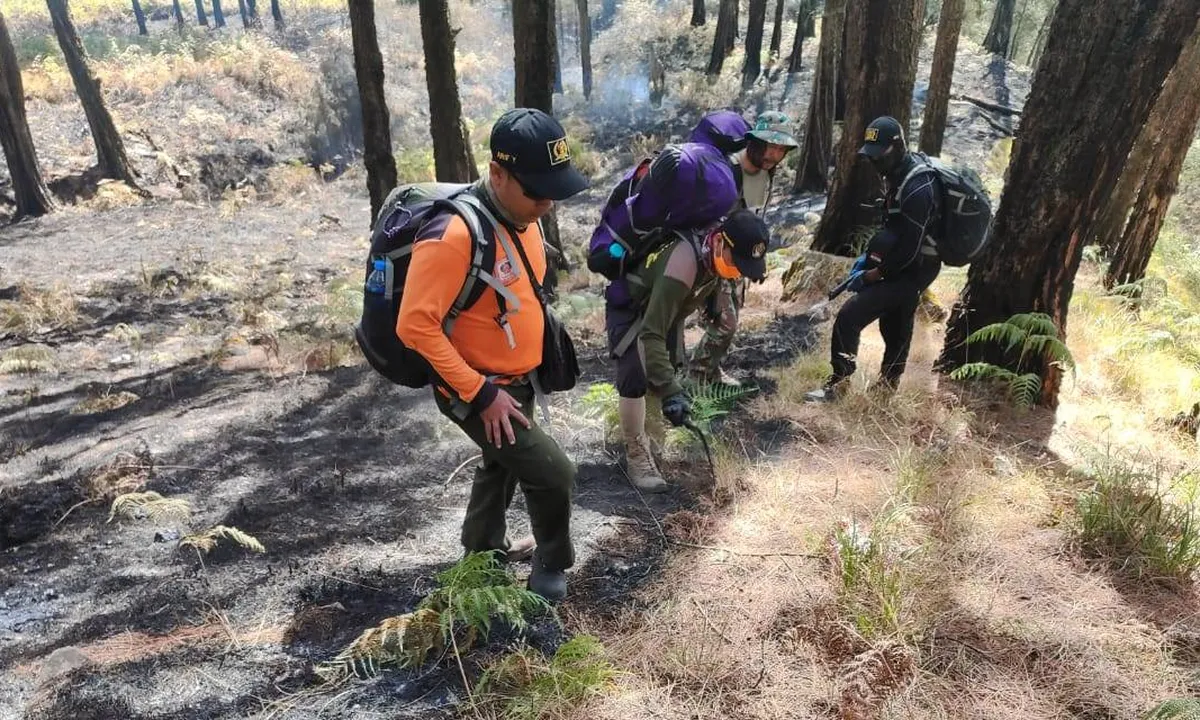 Hutan Gunung Arjuno Kembali Terbakar, Titik Api Baru Muncul di Tempat Ini