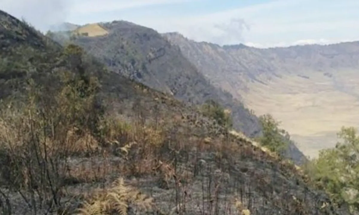 Hutan Gunung Semeru Terbakar 20 Ha, Dua Titik Api Masih Ditemukan
