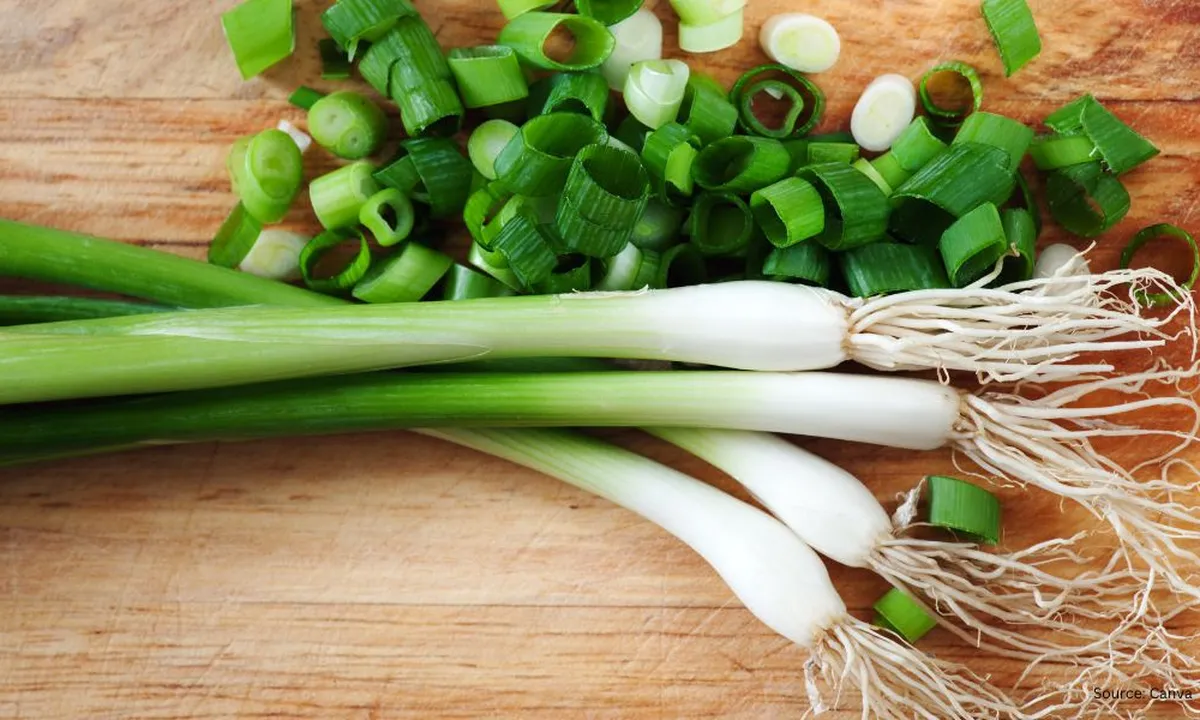 Iris Daun Bawang Tanpa Lendir Hanya Menggunakan Satu Bahan