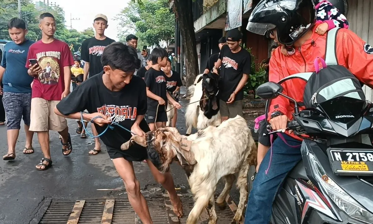 Jadwal Resmi Libur Idul Adha 2025: Cuti Bersama, Tanggal Merah Nasional, dan Libur Sekolah