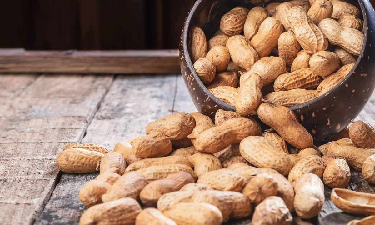Kacang Tanah Cepat Tengik? Begini Trik Penyimpanannya yang Benar