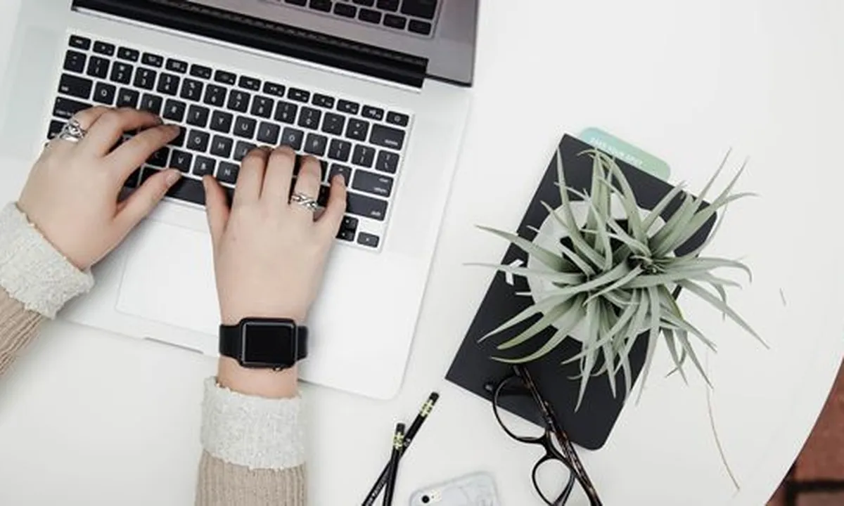 Kata Pengantar Portofolio: Pengertian, Contoh Beserta Tujuan