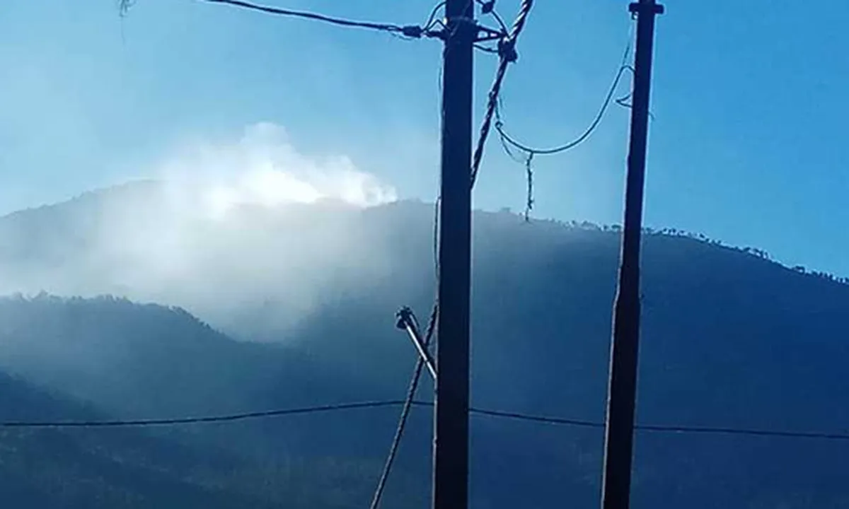 Kebakaran Hutan Lereng Gunung Arjuno, Terkendala Posisi Titik Api di Tebing Jurang