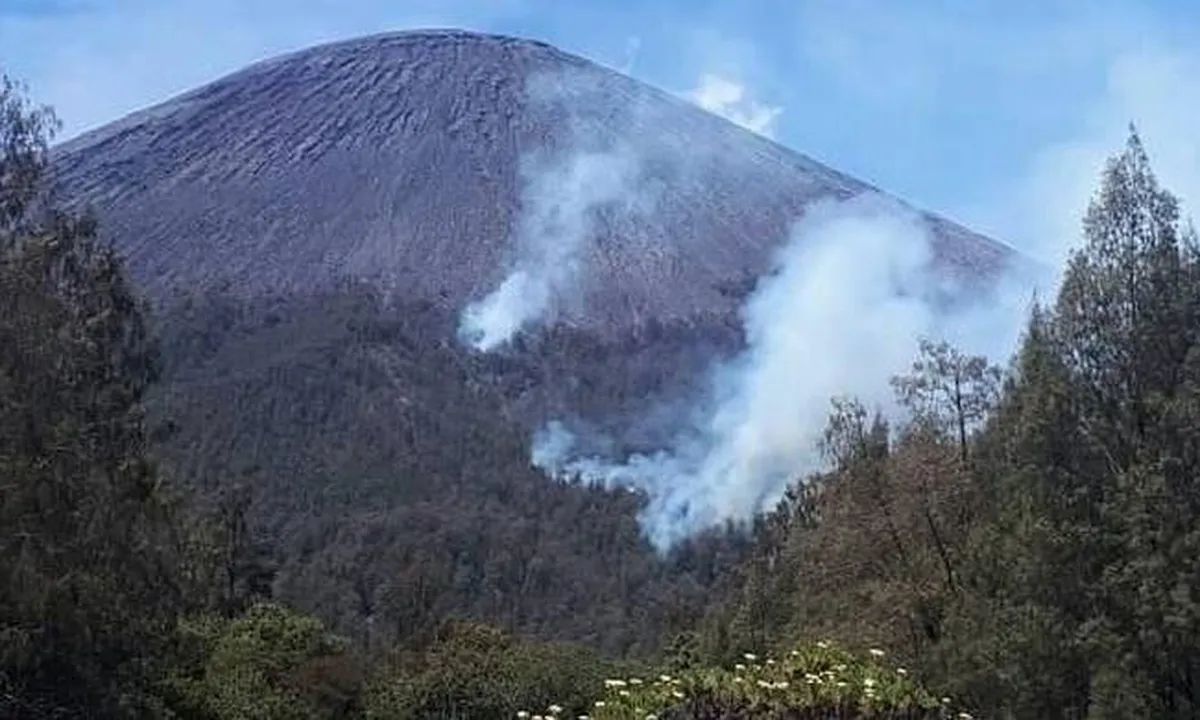 Kebakaran Hutan, Pendaki Dilarang ke Puncak Mahameru