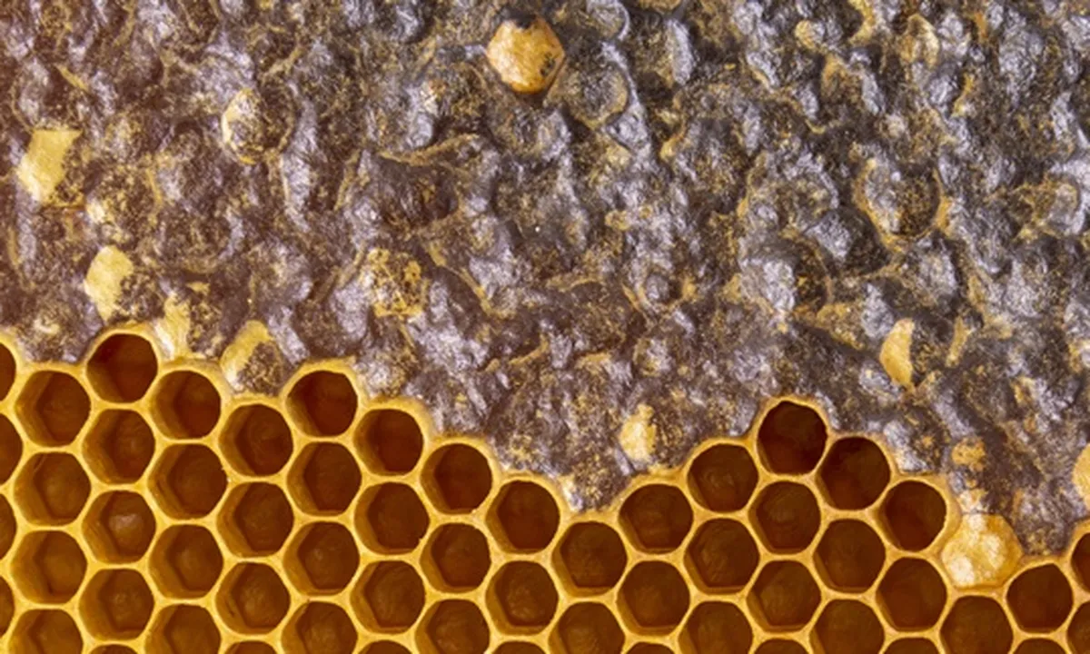 Ketahui Cara Menghilangkan Trypophobia, Beserta Gejala dan Penyebabnya