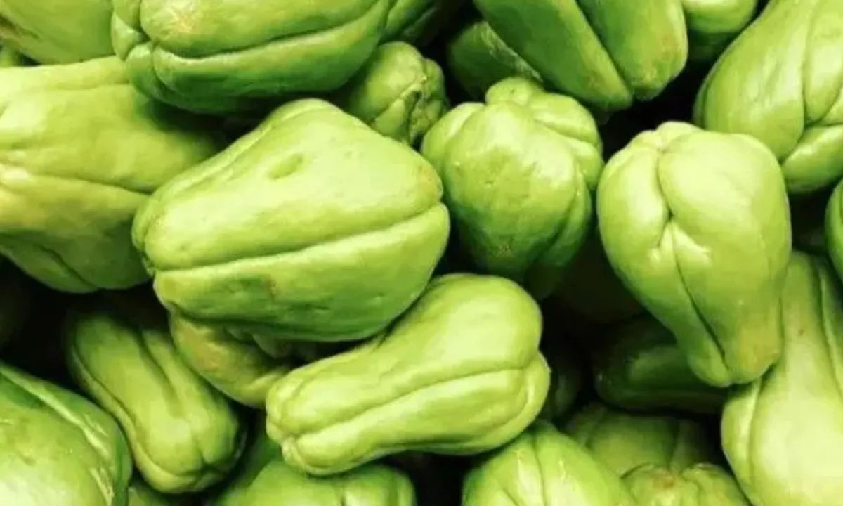 Khasiat Sayur Labu Siam, Nutrisi Manfaat dan Resep Lezat yang Harus Anda Coba