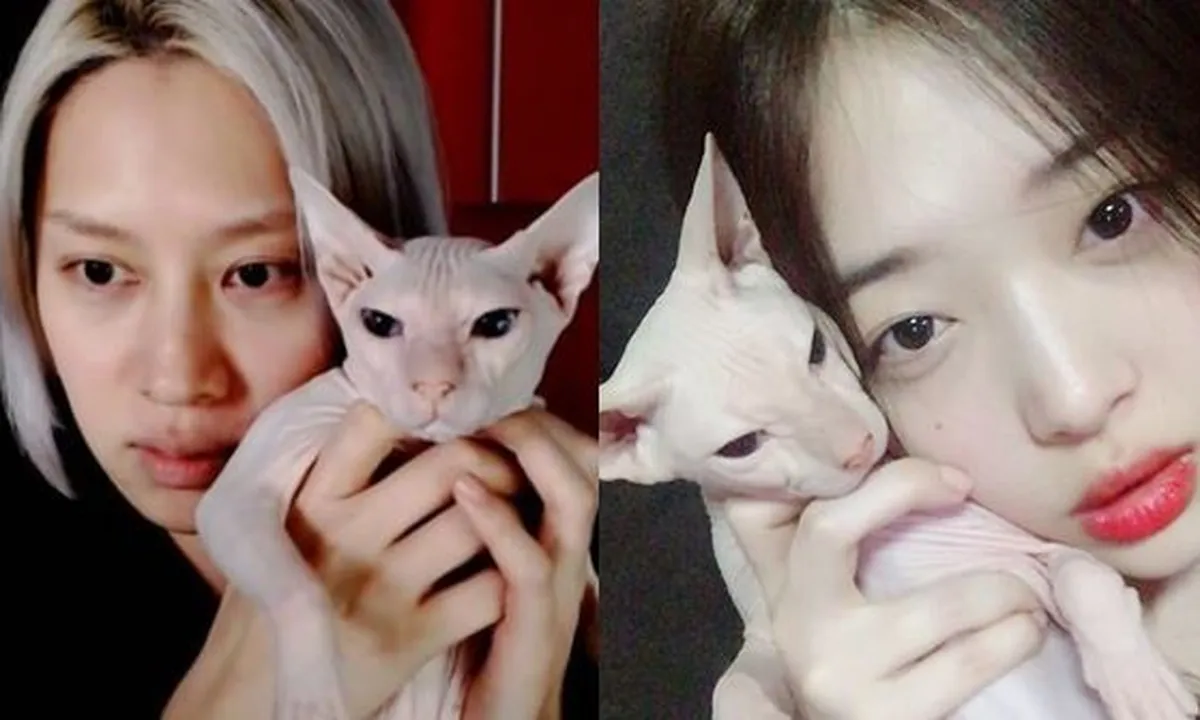 Kim Heechul Soal Kucing Sulli yang Dirawatnya: Bikin Nangis dan Pantatnya Bau