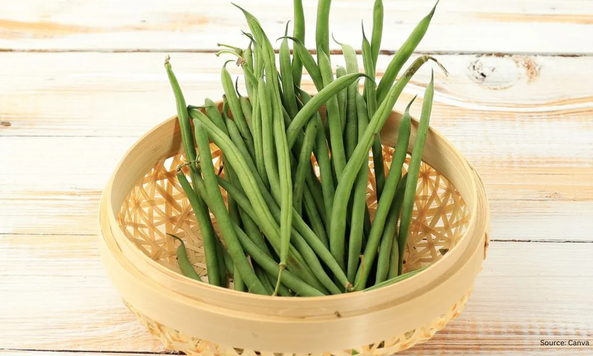 Kreasi Buncis Goreng Kriuk yang Wajib Kamu Cicipi