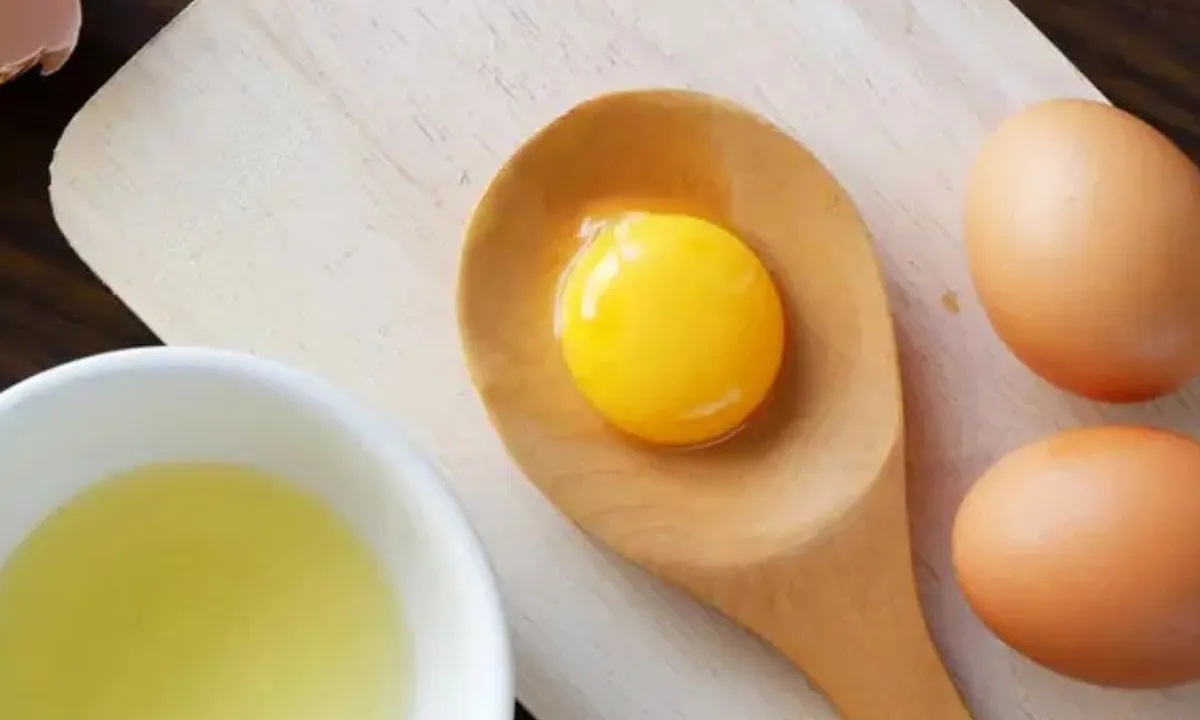 Kuning Telur vs Gorengan, Mana yang Lebih Berisiko untuk Kesehatan Jantung Anda?