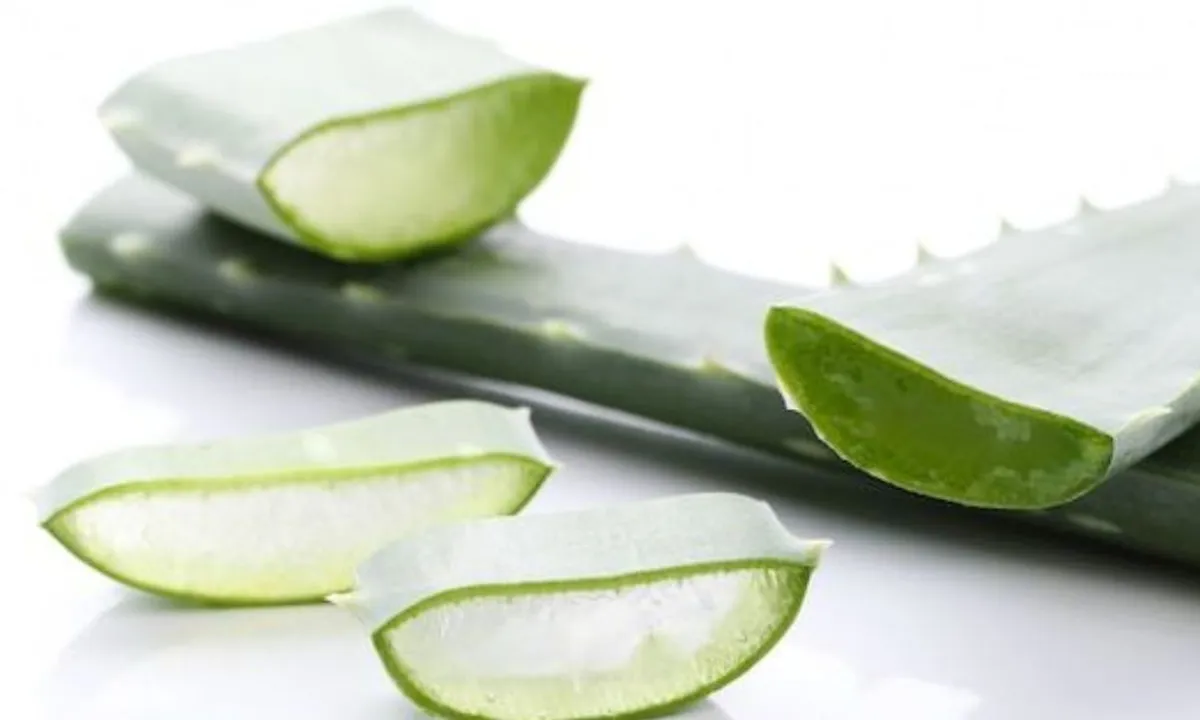 Langkah Mudah Membuat Masker Lidah Buaya untuk Kulit Bersinar dan Sehat!