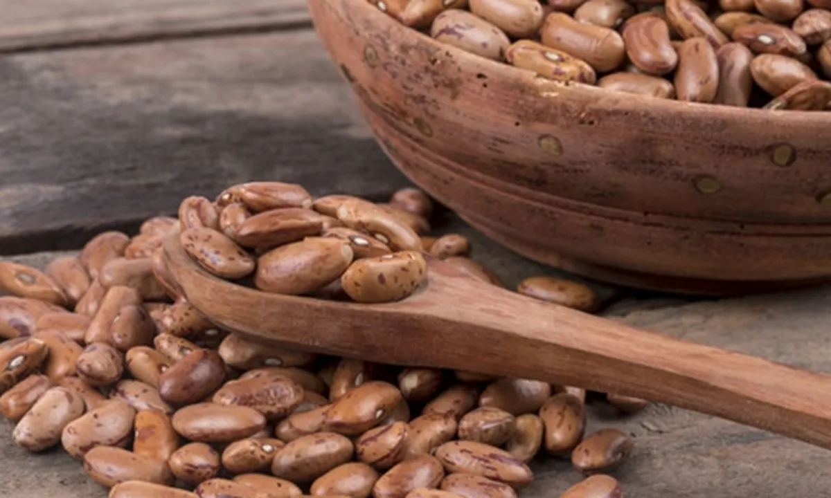 10 Manfaat Kacang Merah Bagi Kesehatan Tubuh, Cegah Kanker - Turunkan Berat Badan