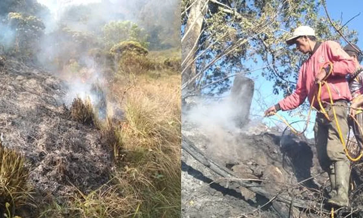 Luas Hutan Gunung Semeru Terdampak Kebakaran Mencapai 60,4 Ha