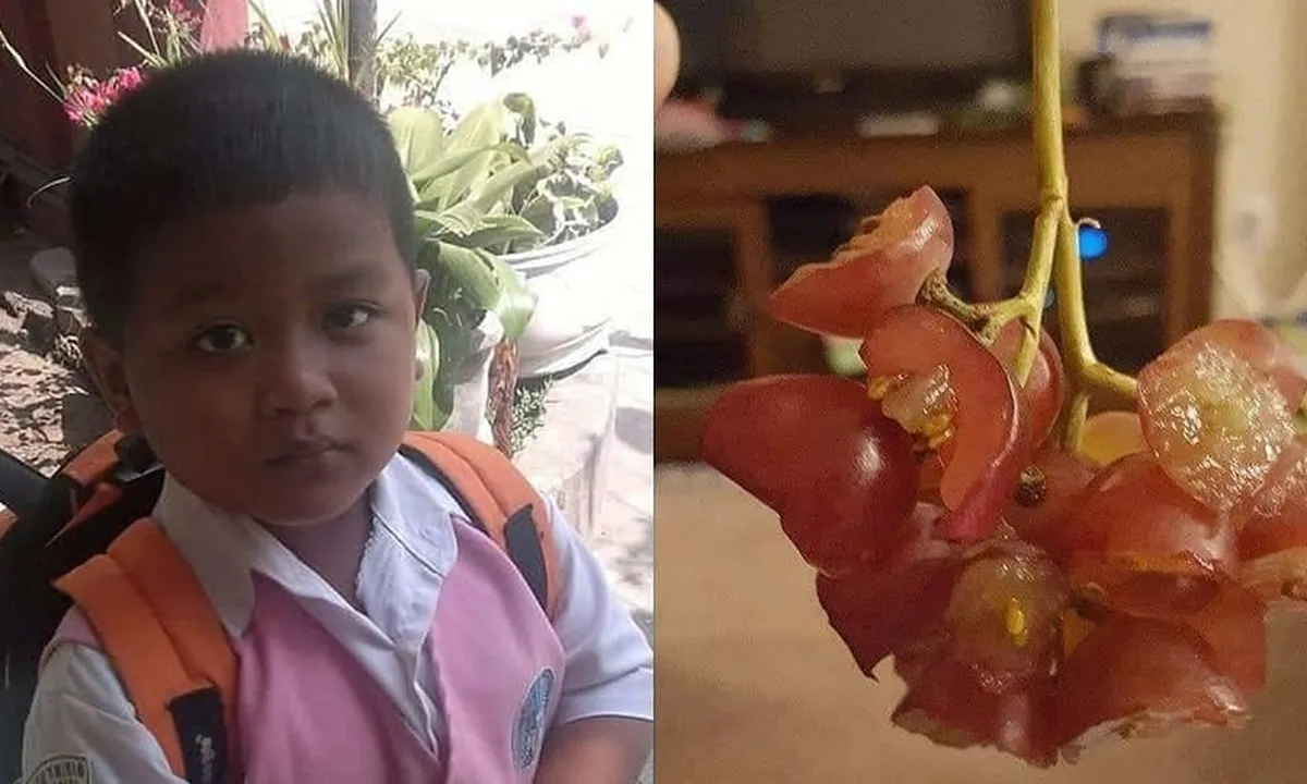 Makan Setengah Anggur, Tingkah Polos Bocah Ini Viral & Bikin Sang Kakak Bingung