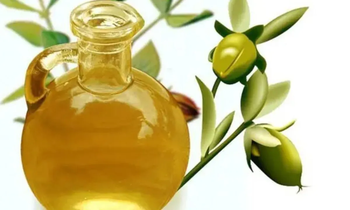 Manfaat Menakjubkan Minyak Zaitun untuk Kecantikan Kulit yang Sehat dan Glowing