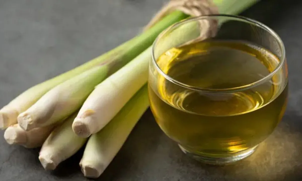 Manfaat Rebusan Serai untuk Kesehatan, Ini Resep Mudahnya