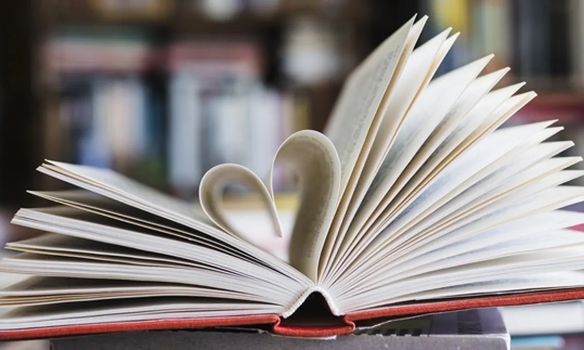 Mengenal Jenis-Jenis Novel, Lengkap Beserta Penjelasan dan Contohnya