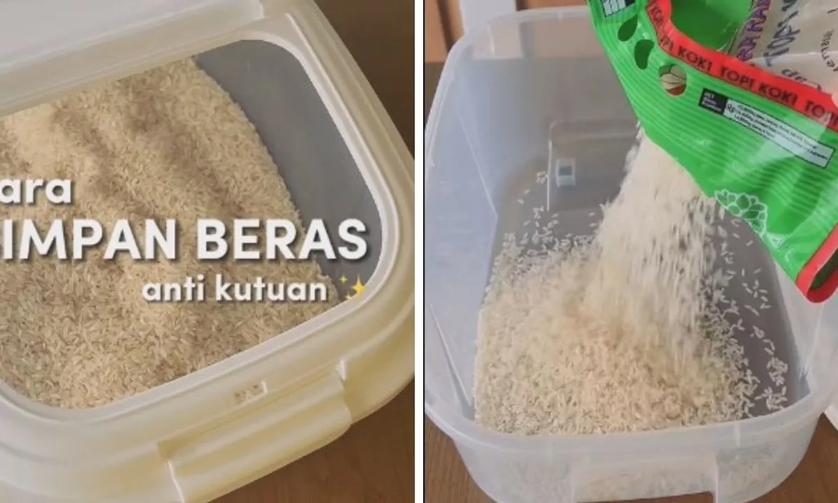 Modal 1 Bahan Dapur, Begini Cara Simpan Beras Anti Kutu dan Apek