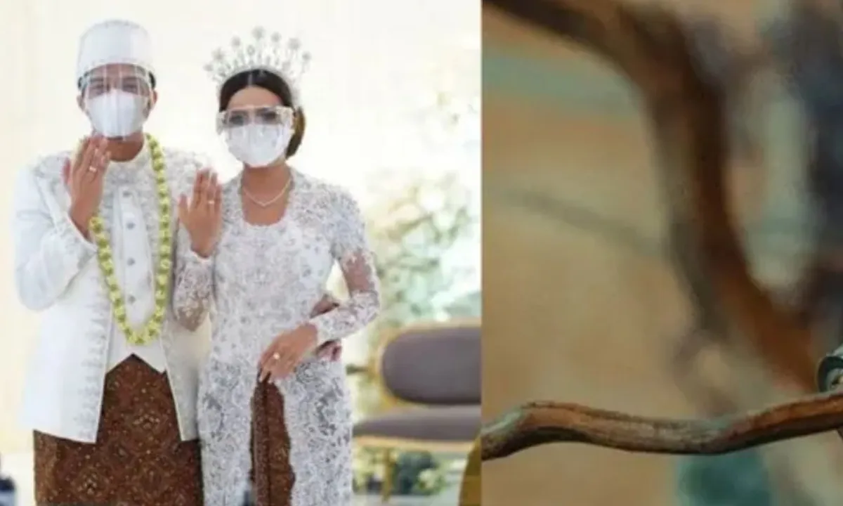 Model Cincin Emas ala Artis, Inspirasi untuk Pernikahan 2024